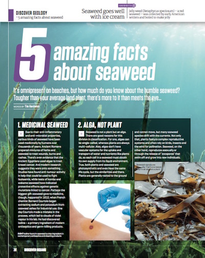 Discover Science Series: The Oceans - image 9