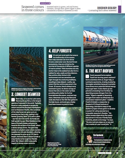 Discover Science Series: The Oceans - image 10