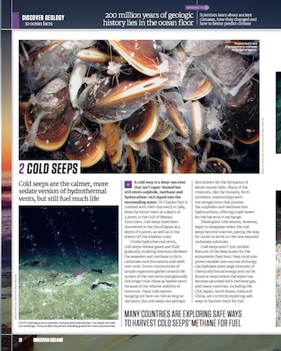 Discover Science Series: The Oceans - image 21