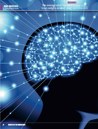 Science Uncovered 06: Article: Brain Mapping - image 1