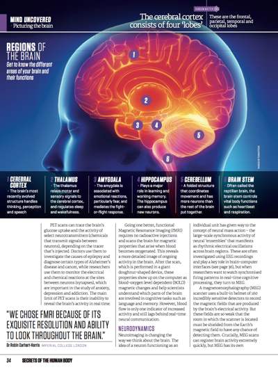 Science Uncovered 06: Article: Brain Mapping - image 3