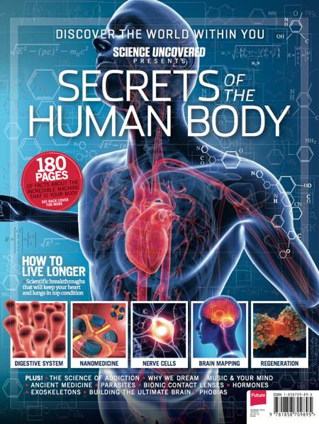 Science Uncovered 06: Article: Brain Mapping