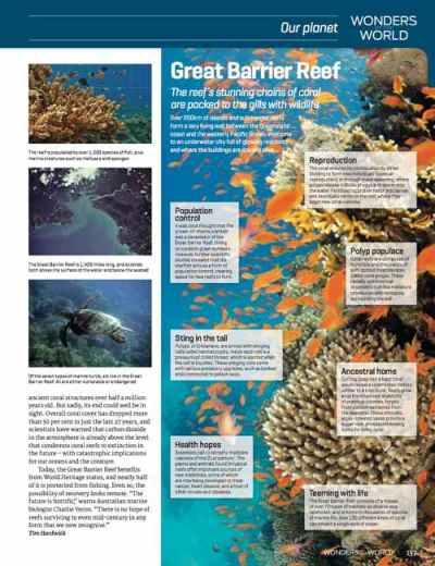 Science Uncovered 01: Articles: Vision in nature - image 2