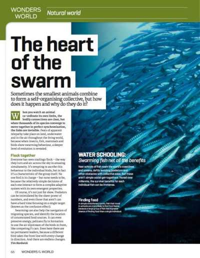 Science Uncovered 01: Articles: Vision in nature - image 3