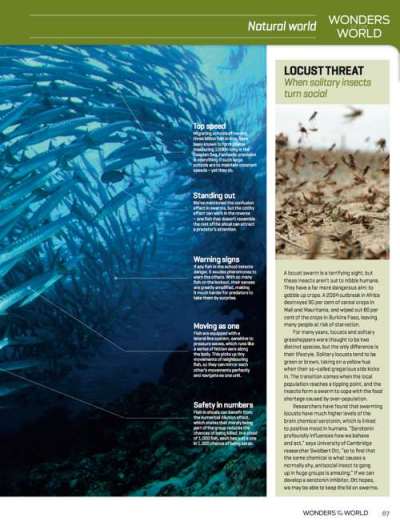 Science Uncovered 01: Articles: Vision in nature - image 4