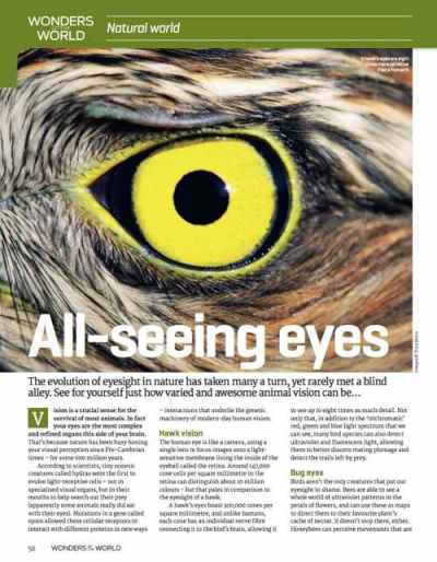 Science Uncovered 01: Articles: Vision in nature - image 5