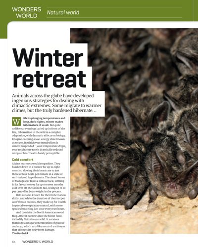 Science Uncovered 01: Articles: Vision in nature - image 7