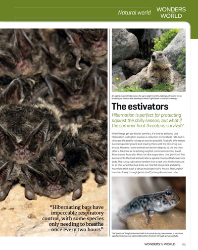 Science Uncovered 01: Articles: Vision in nature - image 8